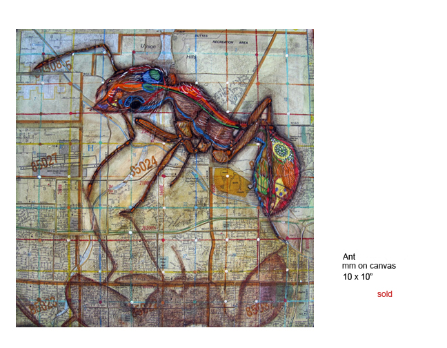 Ant