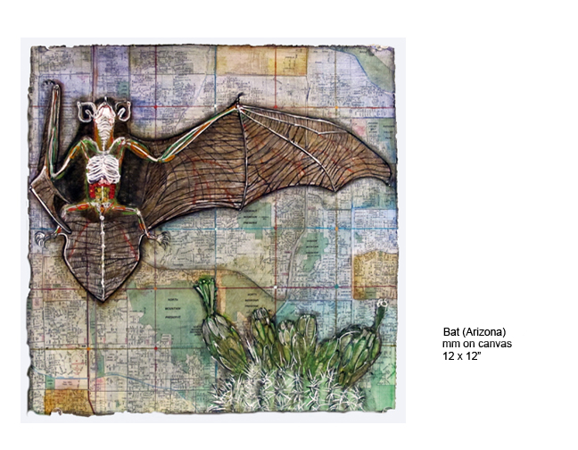 Bat