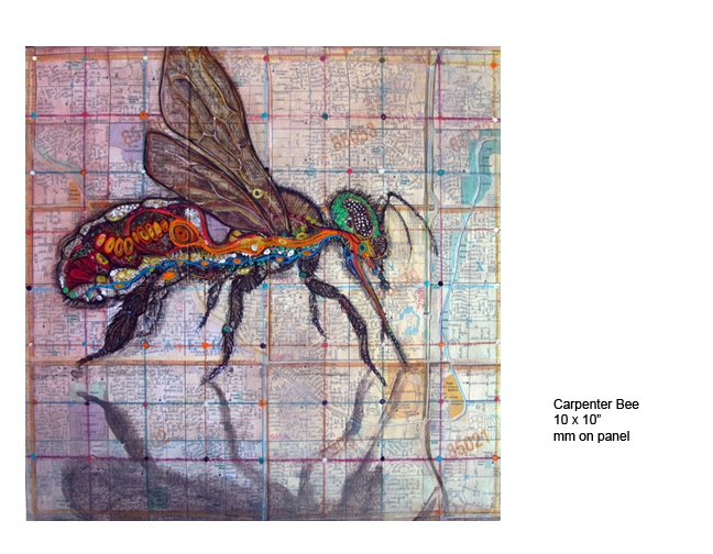 Carpenter Bee