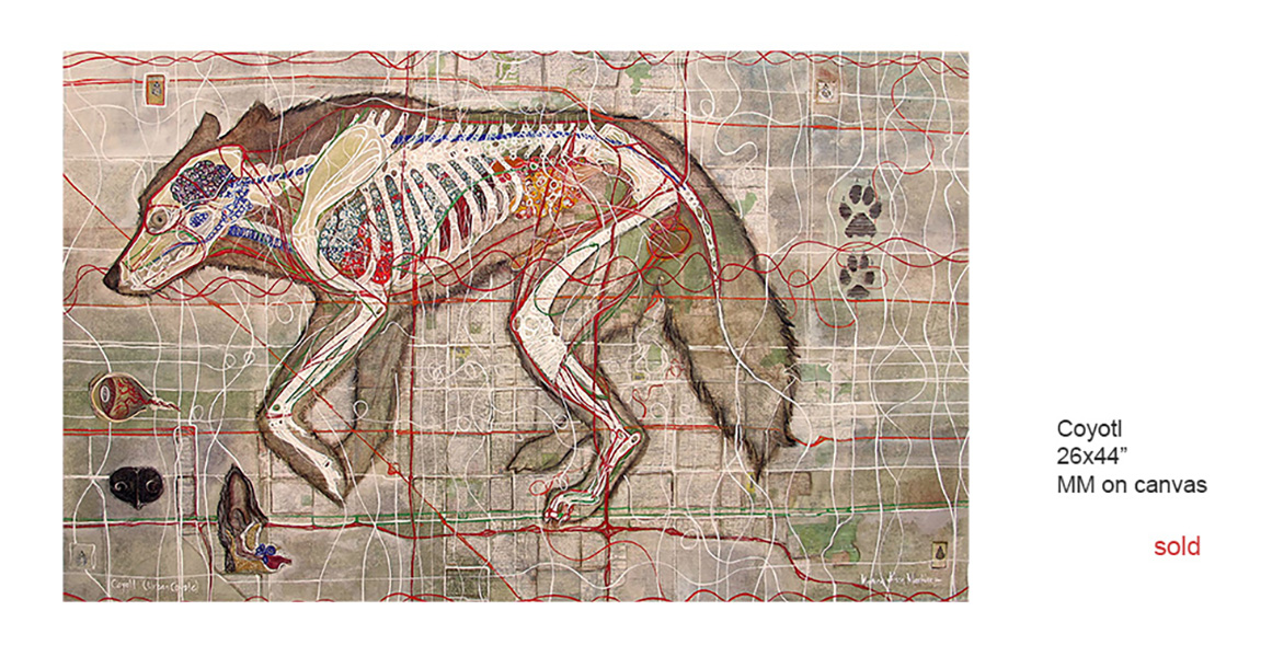 Urban Coyote