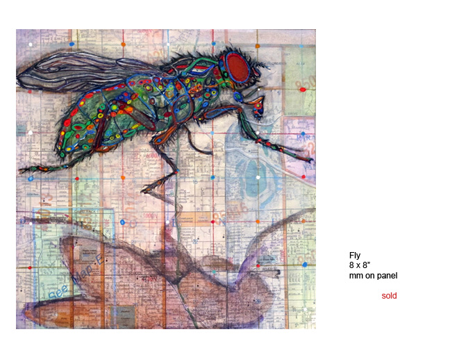 Fly
