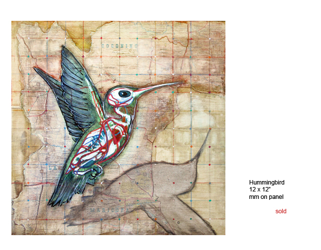 Hummingbird